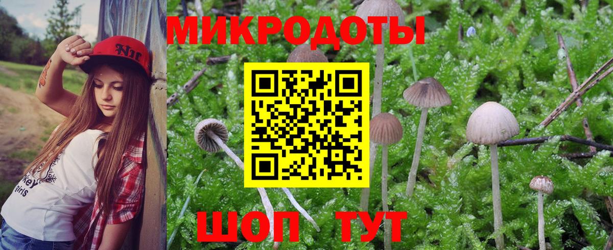 наркошоп  Галлюциногенные грибы прущие грибы  Крымск  Вход с VPN  Псилоцибиновые грибы Psilocybe 
