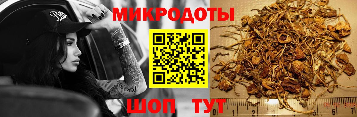 Псилоцибиновые грибы Psilocybine cubensis Крымск